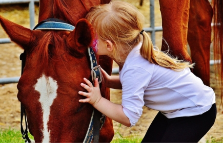 Visite sur site "Cheval Bleu" et remise du Don